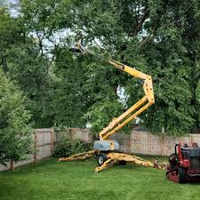 Best Commercial Tree Services  in Dewitt, AR